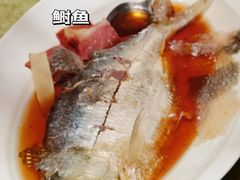 陈酿太雕蒸鲥鱼-上海小南国(不夜城店)