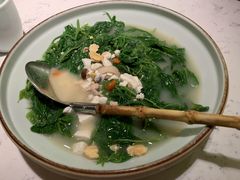 上汤桑叶苗-大榕树下顺德菜(融创茂店)