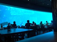 -海棠湾洲际-涛·海底餐厅·美人鱼·自助餐·海底隧道