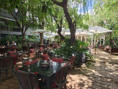-Fern Forest Cafe