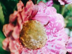 -湘邻呷铺·田园家宴(汉基广场店)