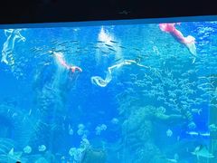 -波塞冬海底世界