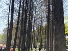 -圩墩遗址公园