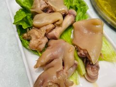 -丁老爷子苏香圆