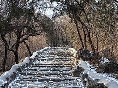 -阳台山自然风景区