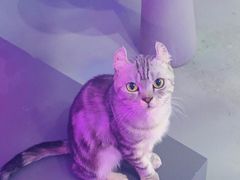 -极木²邸 人与宠物·互动社区