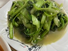 -煲来饱去冷水鱼