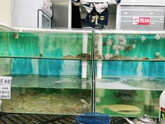 水产区-海之味海鲜大咖·家常菜