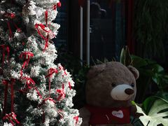 -Primo·丽莫意大利窑烤披萨