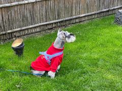 -新荣记(西溪湿地店)