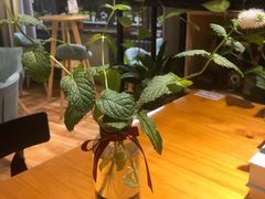 水养薄荷-ZING COFFEE 镜咖啡