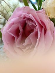-Oasis Beauty水磨坊科技美肤中心