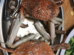 -ZF Seafood Restaurant 卓峰海鲜餐