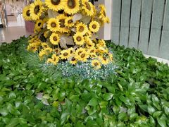 -海天一色海景自助餐厅(西港花园店)