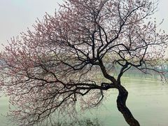 -颐和园