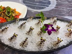 -富来美食(成发大厦店)