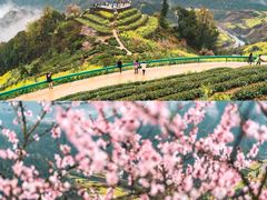 -石潭村