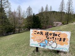 -神户市立六甲山牧场