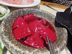 -蜀家渝重庆火锅(南屏街店)