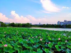 -江南大学(蠡湖校区)