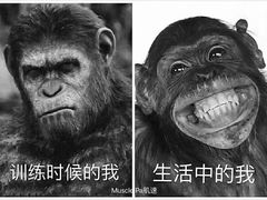 -光猪圈健身(津投广场店)