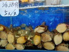 -北京清河镇农副产品交易市场中心