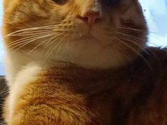 -乡村基(双流时代奥特莱斯餐厅)