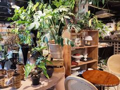 -自由生长植物工作室(深港花卉中心店)