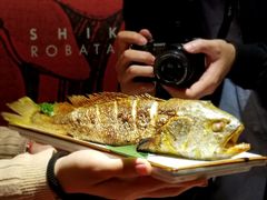 -石葵(锦业时代店)