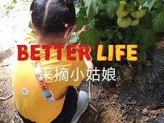 -万源龙顺度假庄园生态观光园