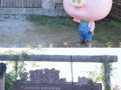 -田园东方蜜桃村的田野营地