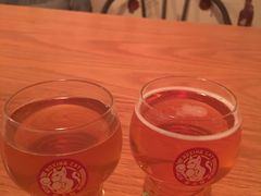 -Boxing Cat Brewery拳击猫精酿啤酒馆(永福店)