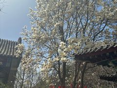 -天津盘山风景名胜区