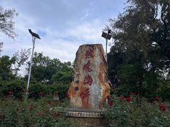 -玫瑰海岸文化旅游度假区
