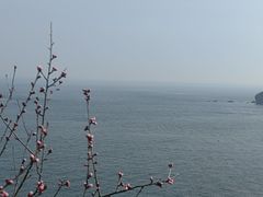 -棒棰岛宾馆景区
