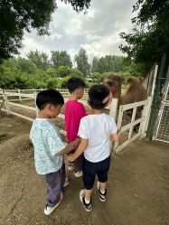 -优沃得自然教育农场·冰雪乐园·生日会·研学