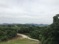 -龙井村