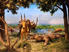 -国家自然博物馆