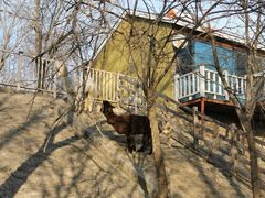 -北京鹿世界主题园