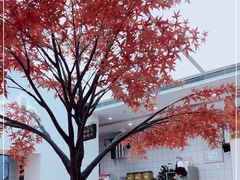 -艾薯夫妇Aysh(福田星河COCOPark店)