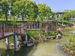 -葛仙湖公园