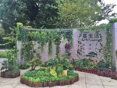 -南山植物园