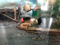 -无锡动物园·太湖欢乐园