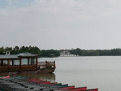 -上海海湾国家森林公园