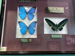 -上海昆虫博物馆