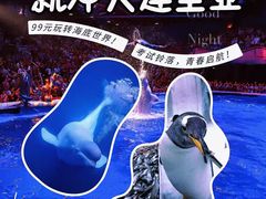 -大连圣亚海洋世界