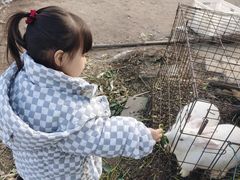 -大自然农场蔬菜草莓采摘园
