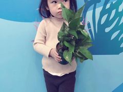 -易贝乐少儿·英语(金沙天街中心)