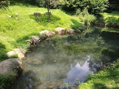 -关门山森林公园