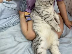 -宠颐生宠物医院外科·内科·皮肤科·影像科(石龙店)